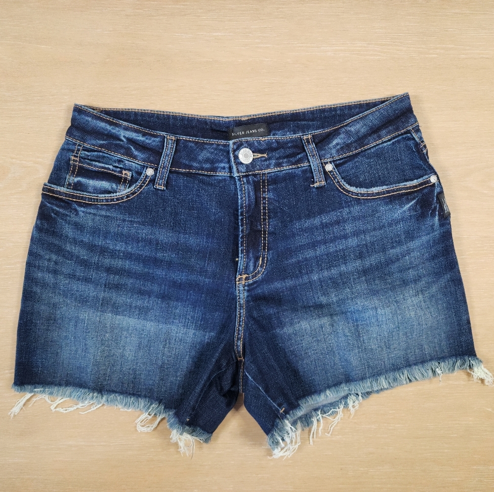 Silver Suki Shorts Size 31